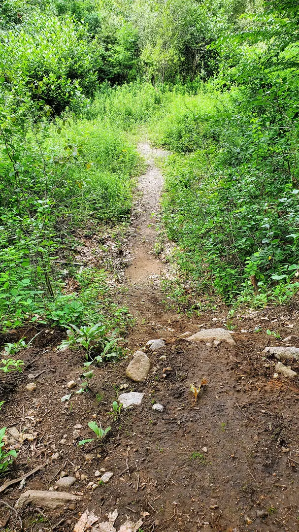 Beaver Brook Reservation