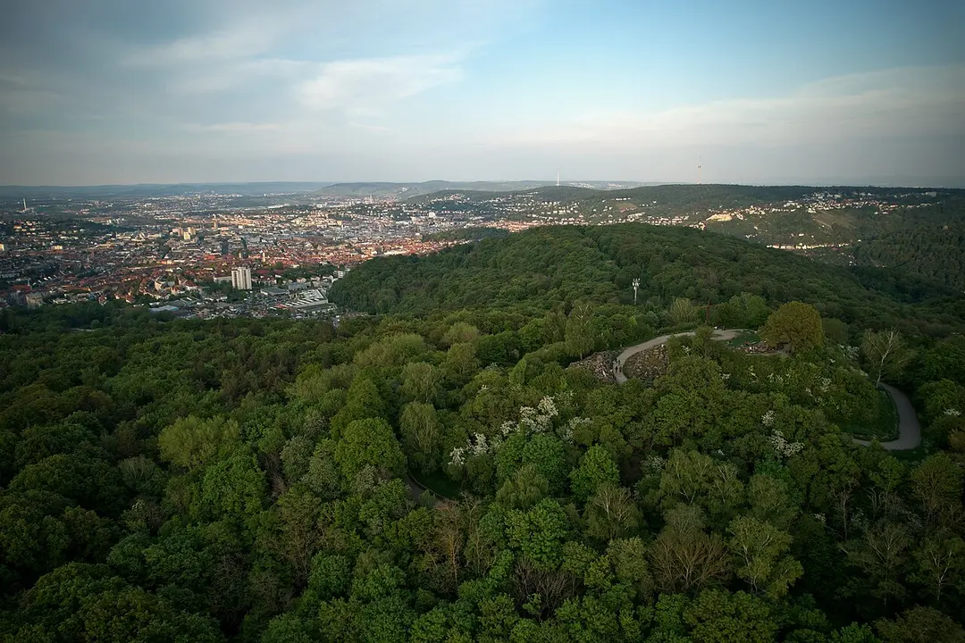 Birkenkopf