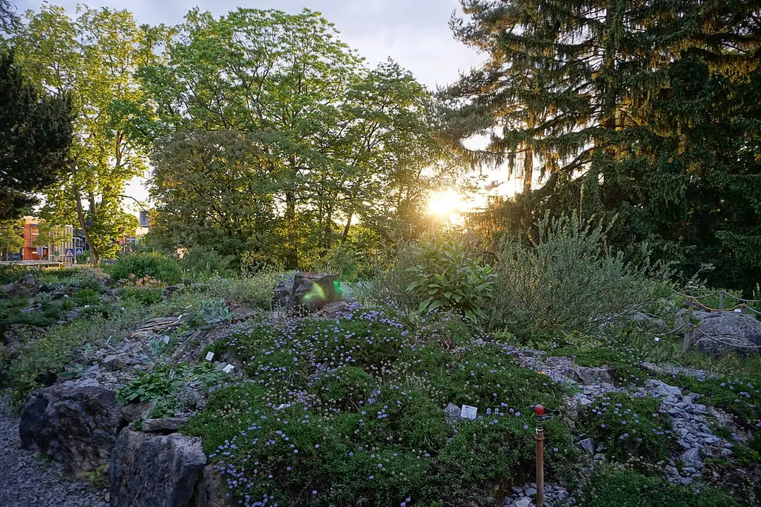 Botanischer Garten