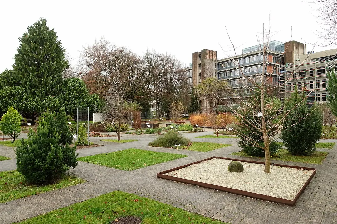 Botanischer Garten