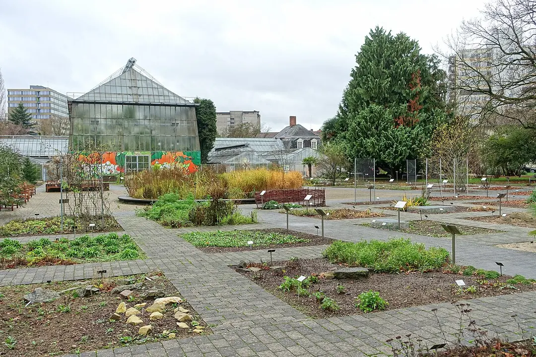 Botanischer Garten