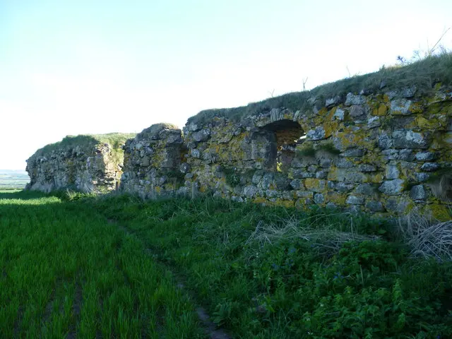 Barnes Castle
