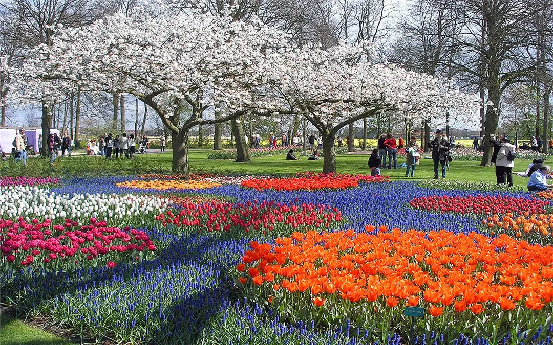 Keukenhof