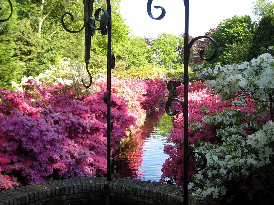 Keukenhof