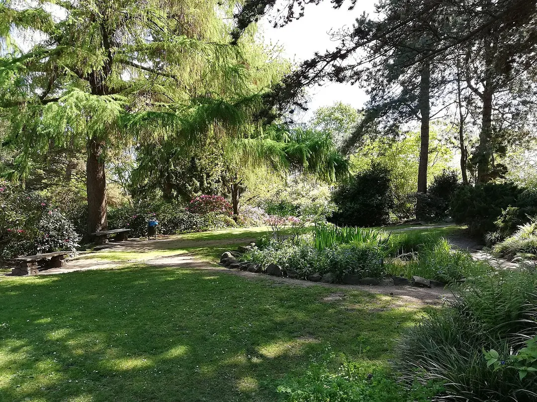 Alter Botanischer Garten