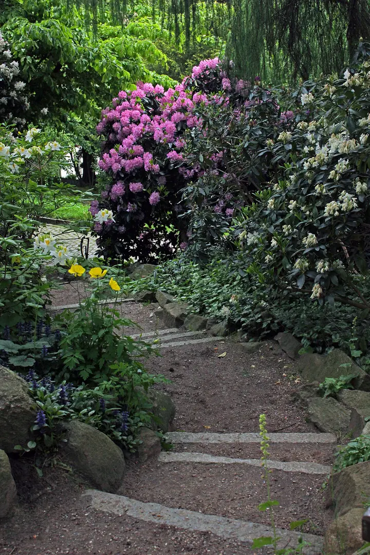 Alter Botanischer Garten