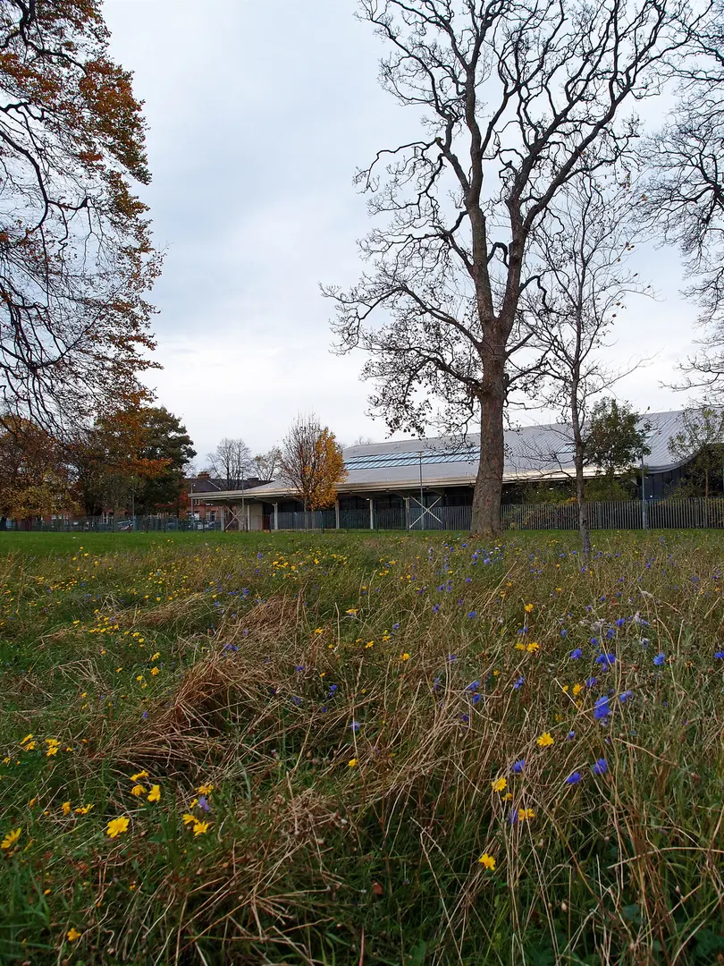 Bellahouston Park