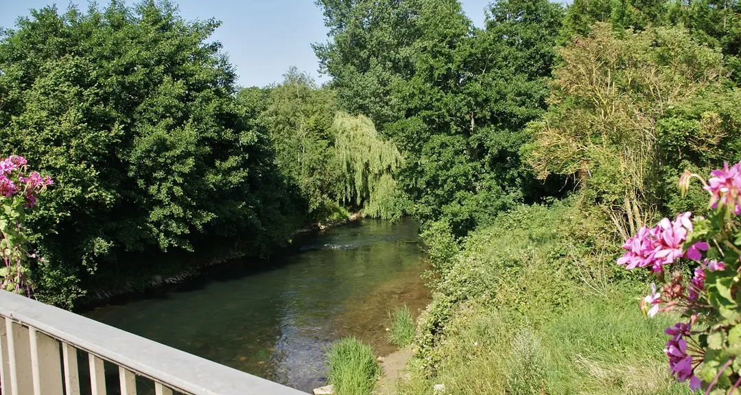 Aa