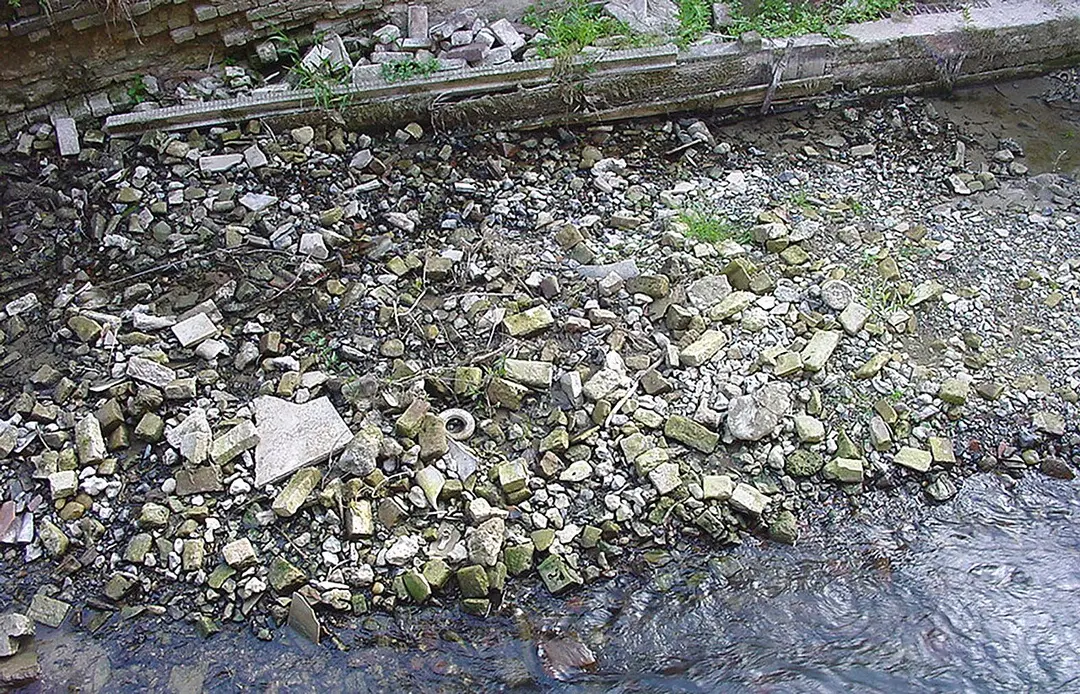 Aa