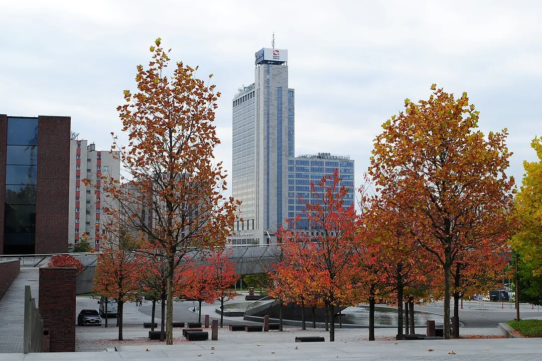 Altus (Hochhaus)
