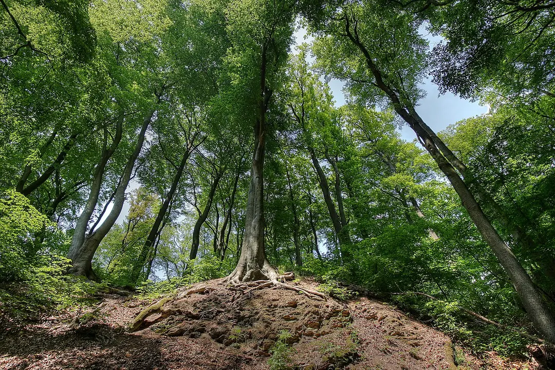 Brennender Berg