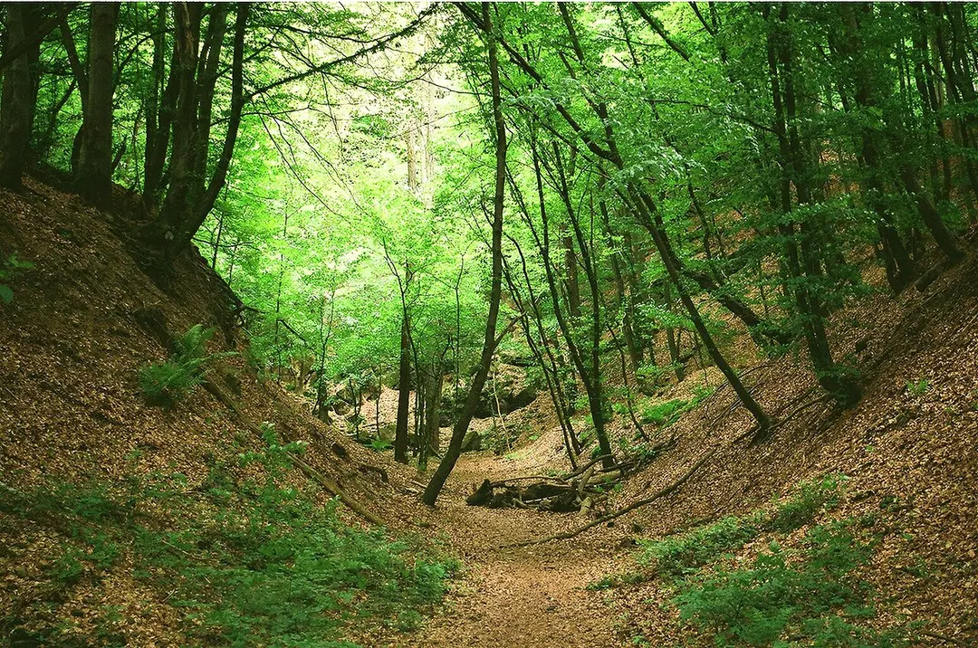 Brennender Berg
