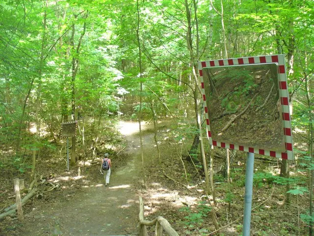 Murellenberg