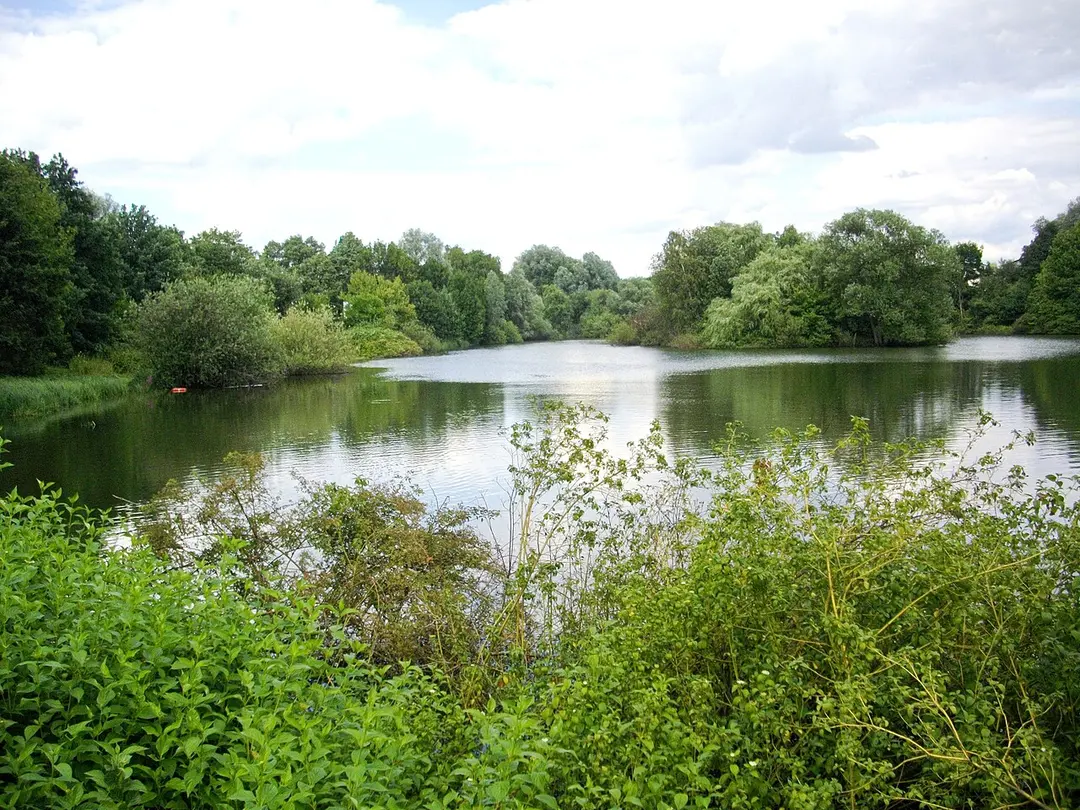 Bramfelder See