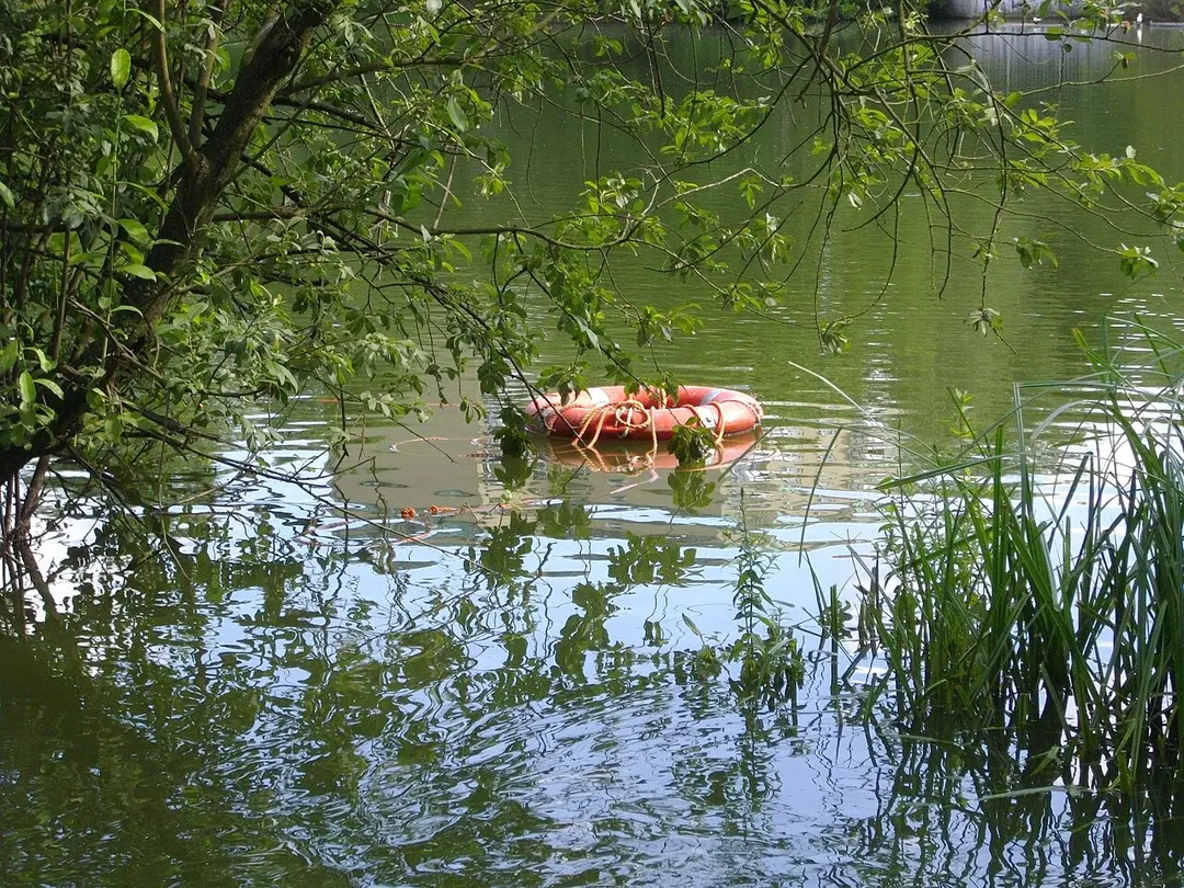 Bramfelder See