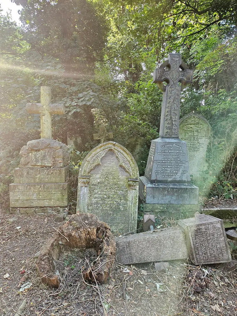 Abney Park