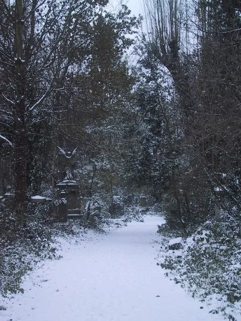 Abney Park