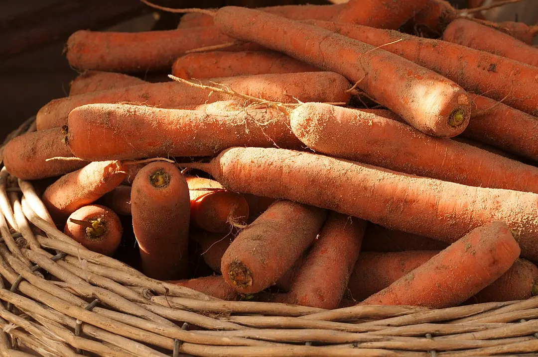 Le Potager du Roi