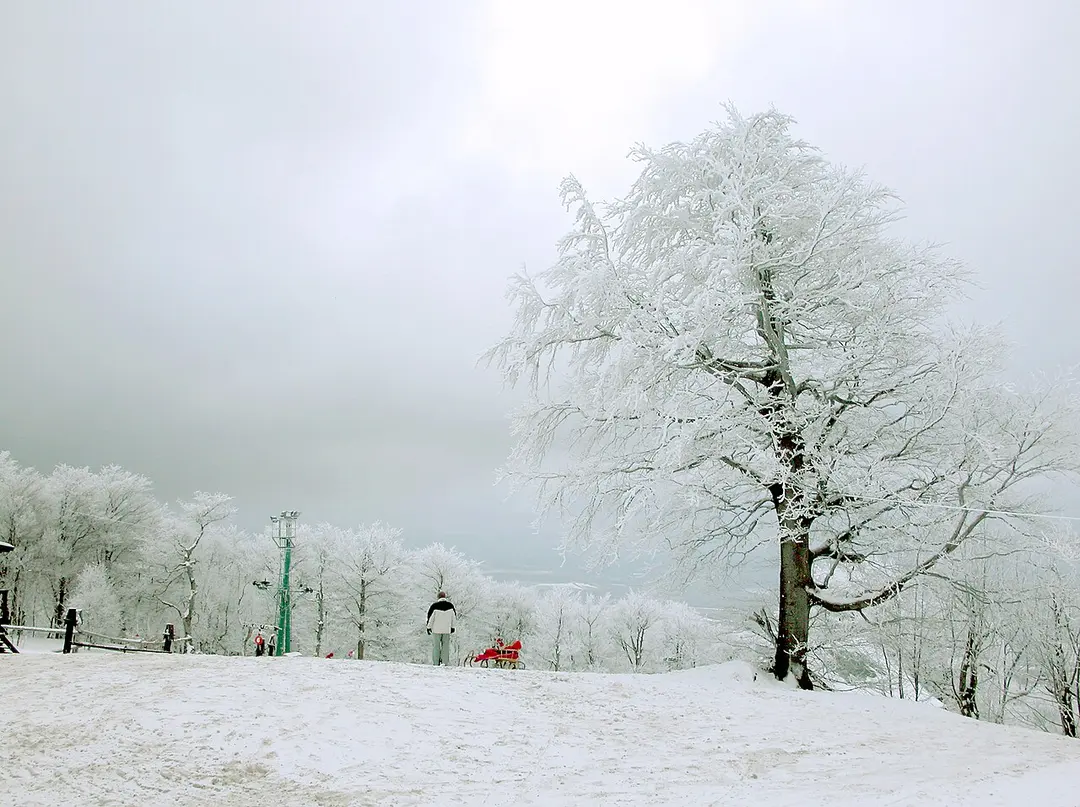 Bratislava-Nové Mesto