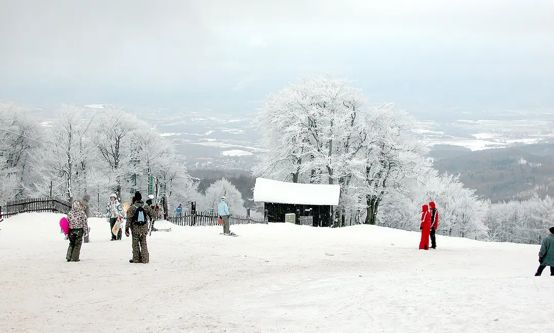 Bratislava-Nové Mesto