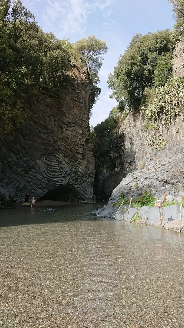 Alcantara
