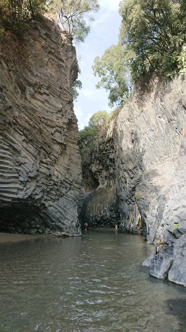 Alcantara
