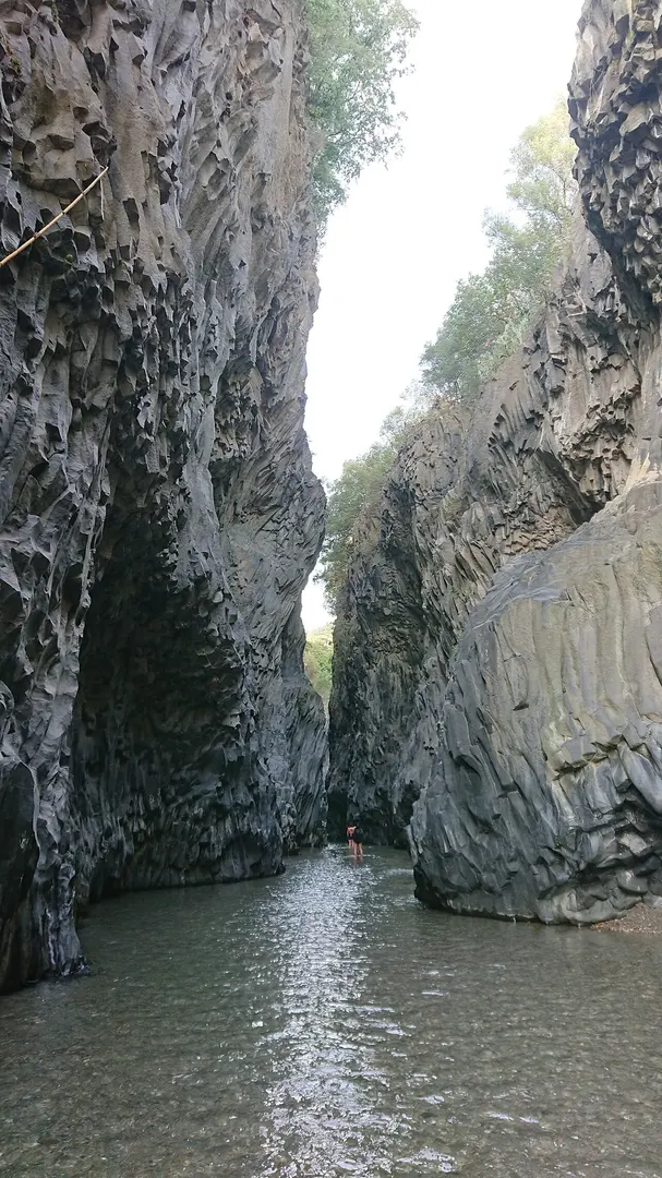 Alcantara