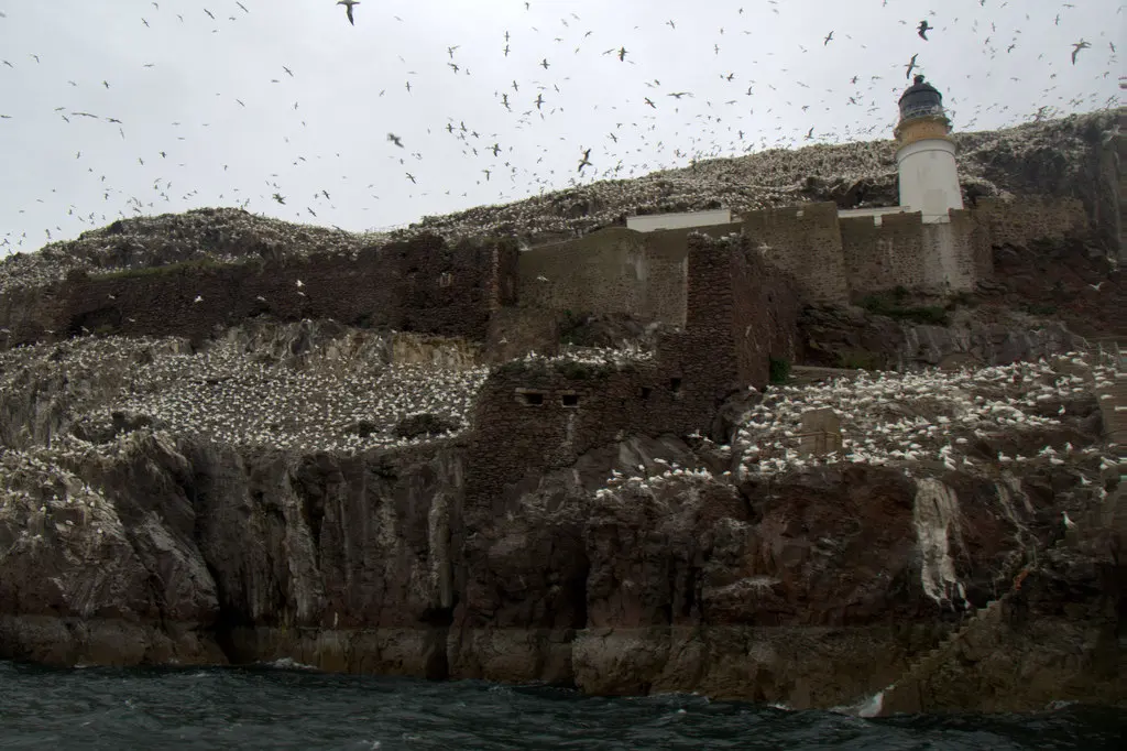 Bass Castle