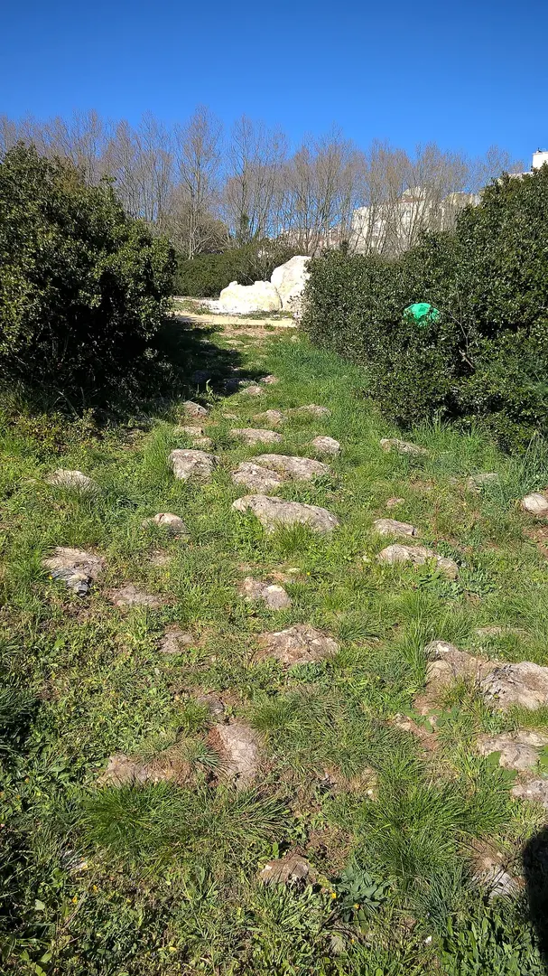 Anta de Agualva