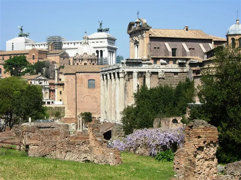 Curia Iulia
