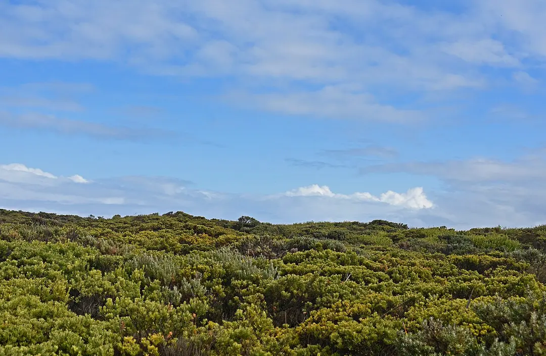 Bay of Islands Coastal Park