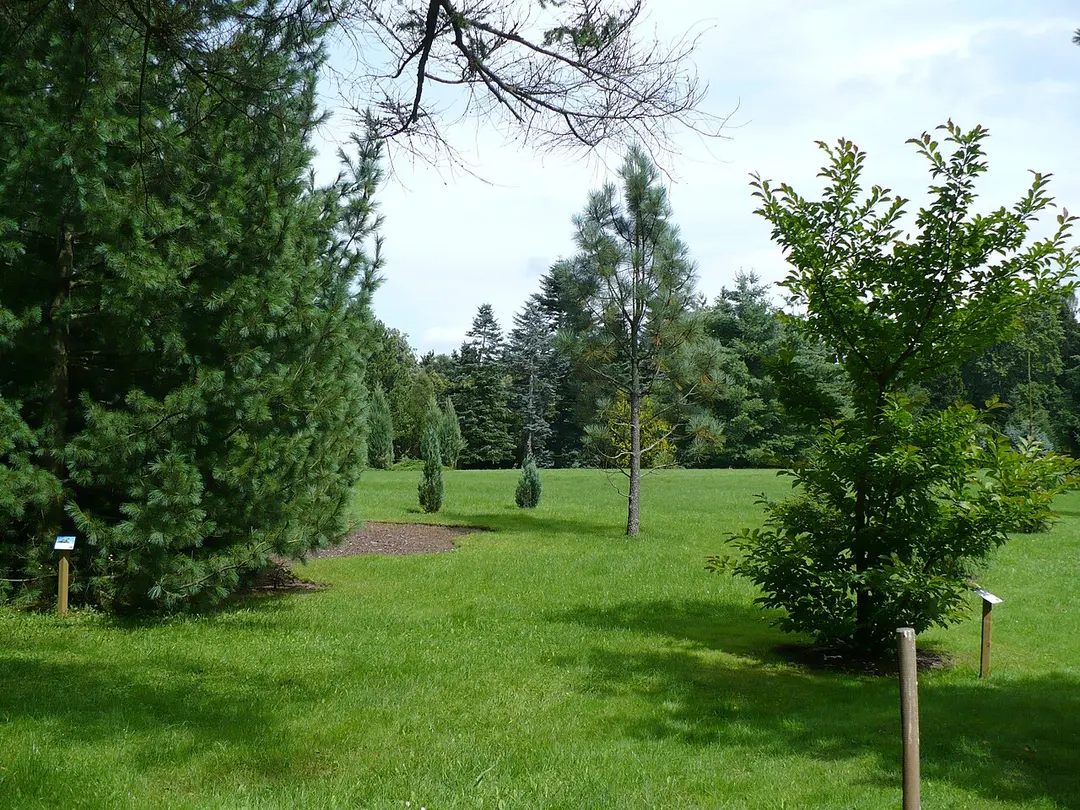 Arboretum Wirty