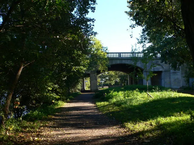 Chiswick Bridge