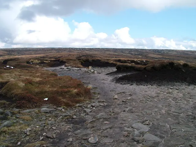 Bleaklow Head