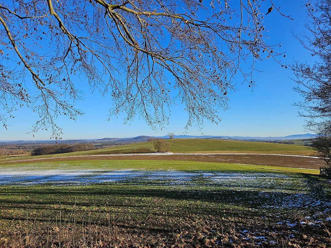 Beckenberg