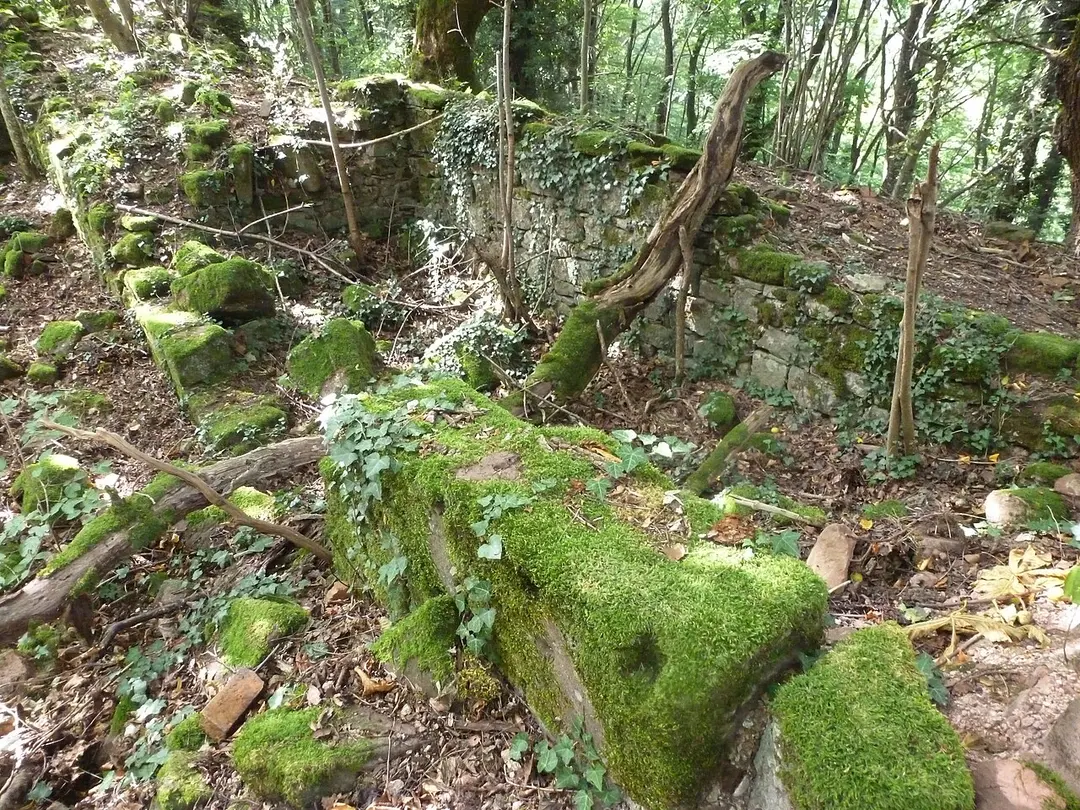 Burg Herrenstein