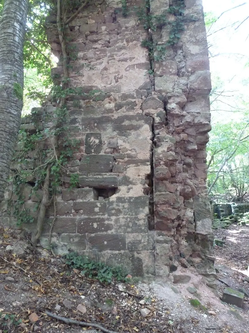 Burg Herrenstein