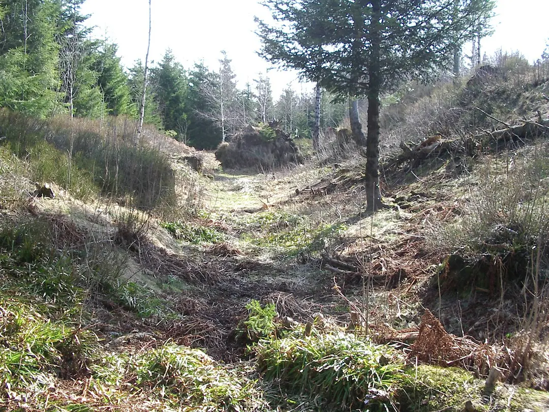 Barocke Verteidigungsanlagen im Schwarzwald