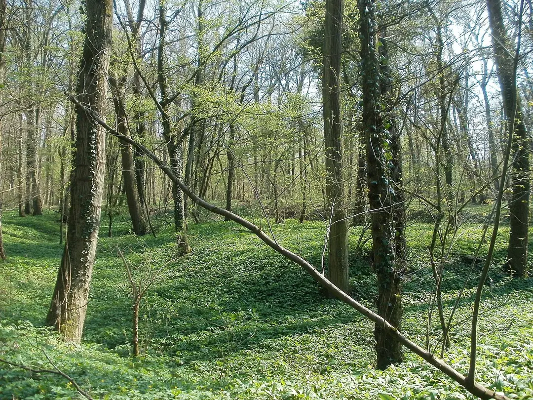 Barocke Verteidigungsanlagen im Schwarzwald