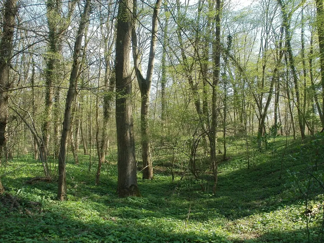 Barocke Verteidigungsanlagen im Schwarzwald