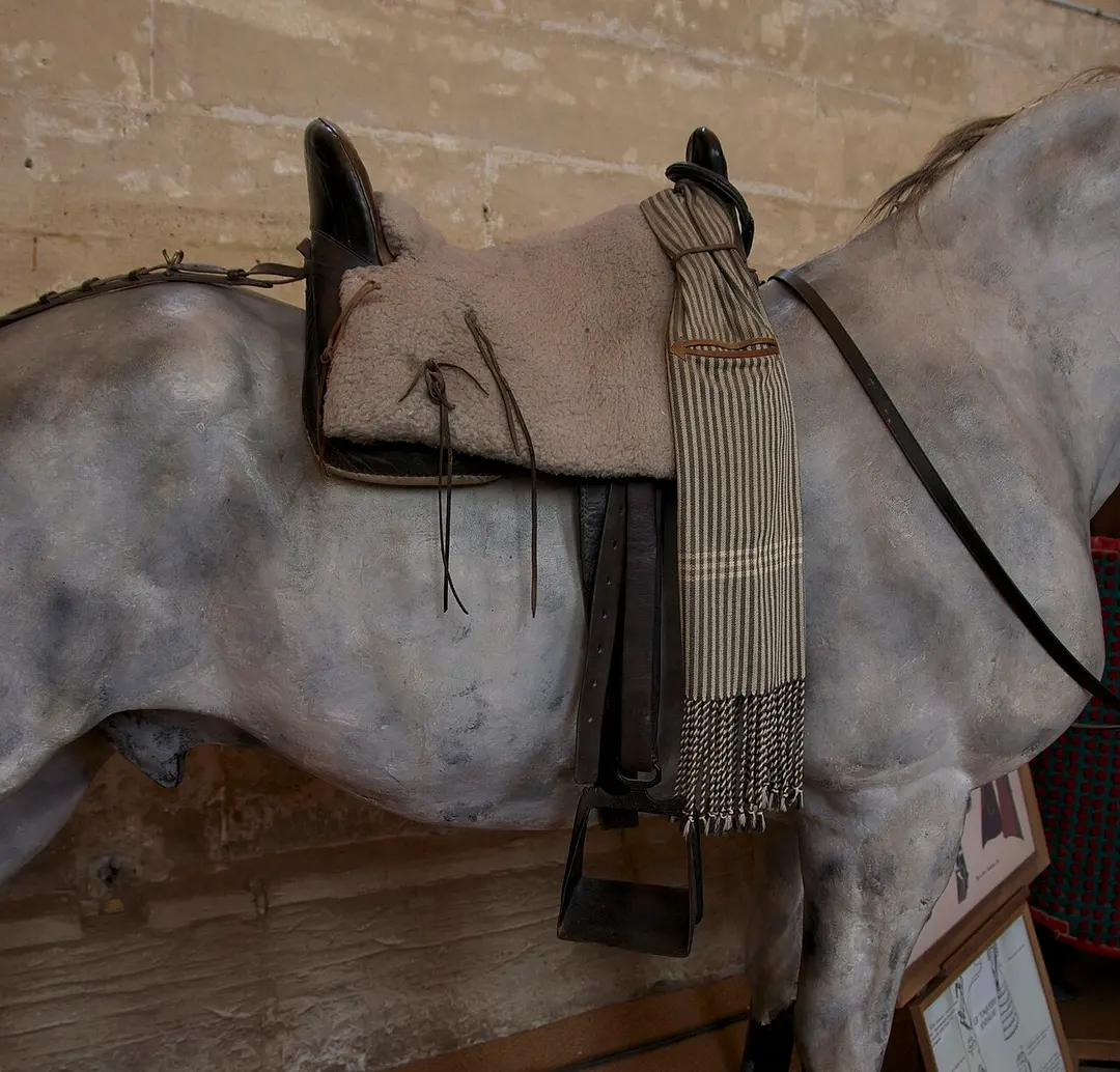 Musée du Cheval