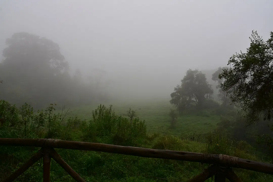 Bale-Mountains-Nationalpark