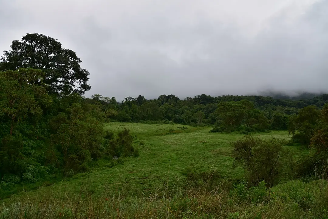 Bale-Mountains-Nationalpark
