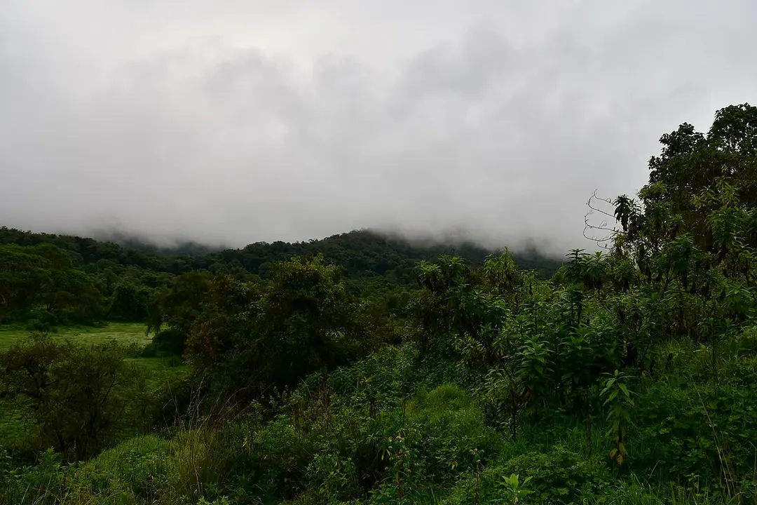 Bale-Mountains-Nationalpark