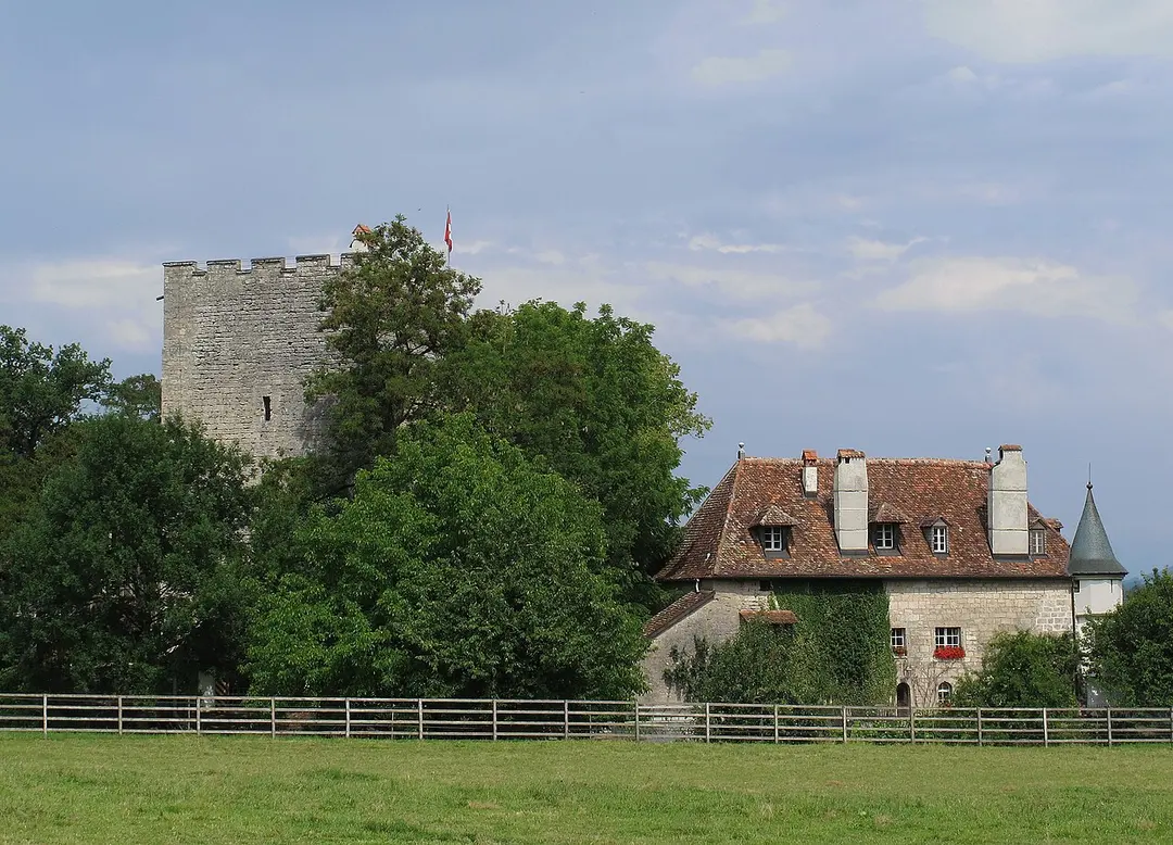 Burg Petit-Vivy
