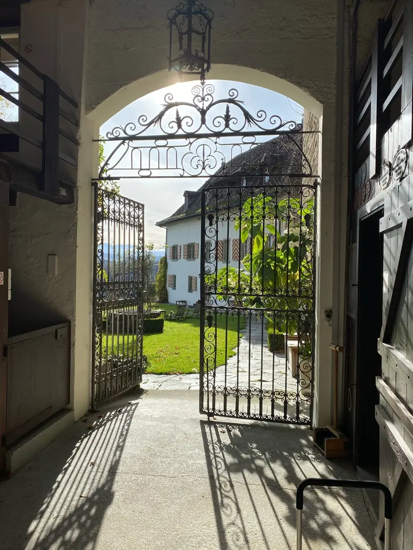 Burg Petit-Vivy