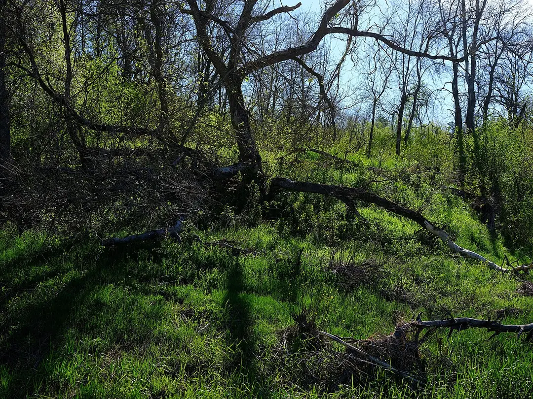 Gatineau Park