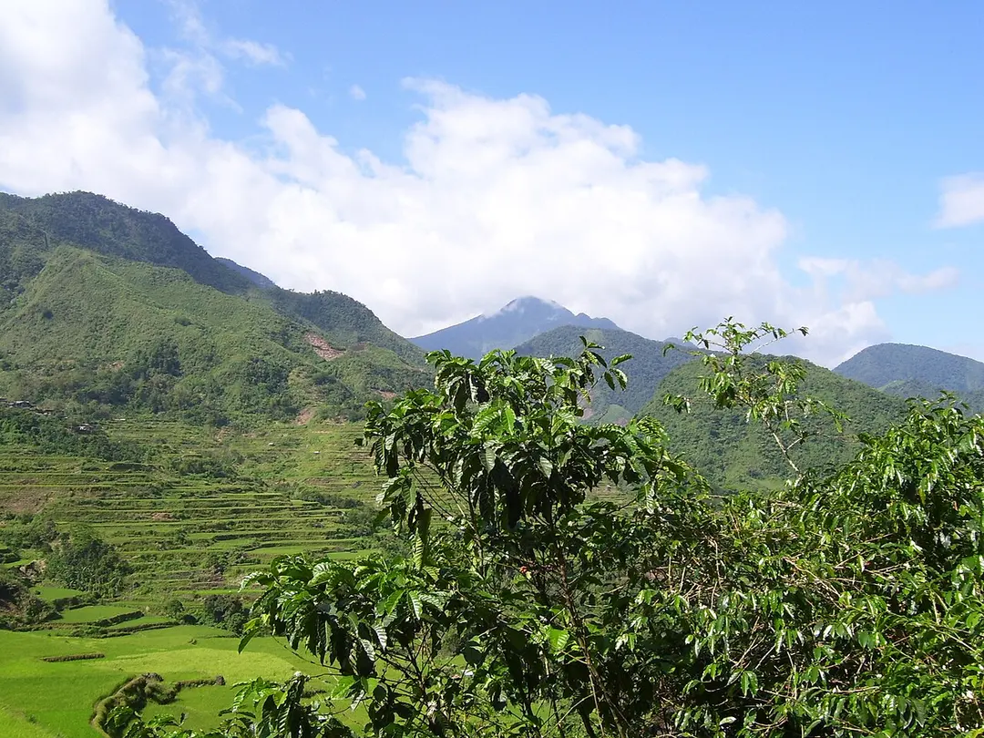 Ambalatungan