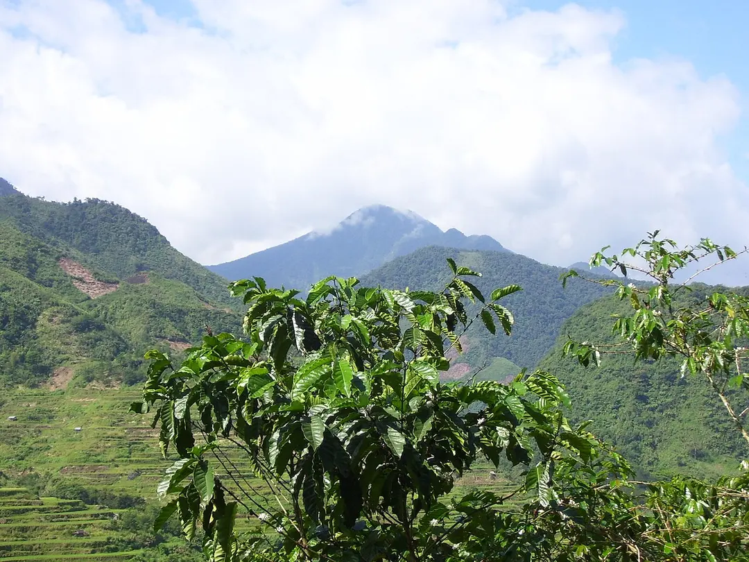 Ambalatungan