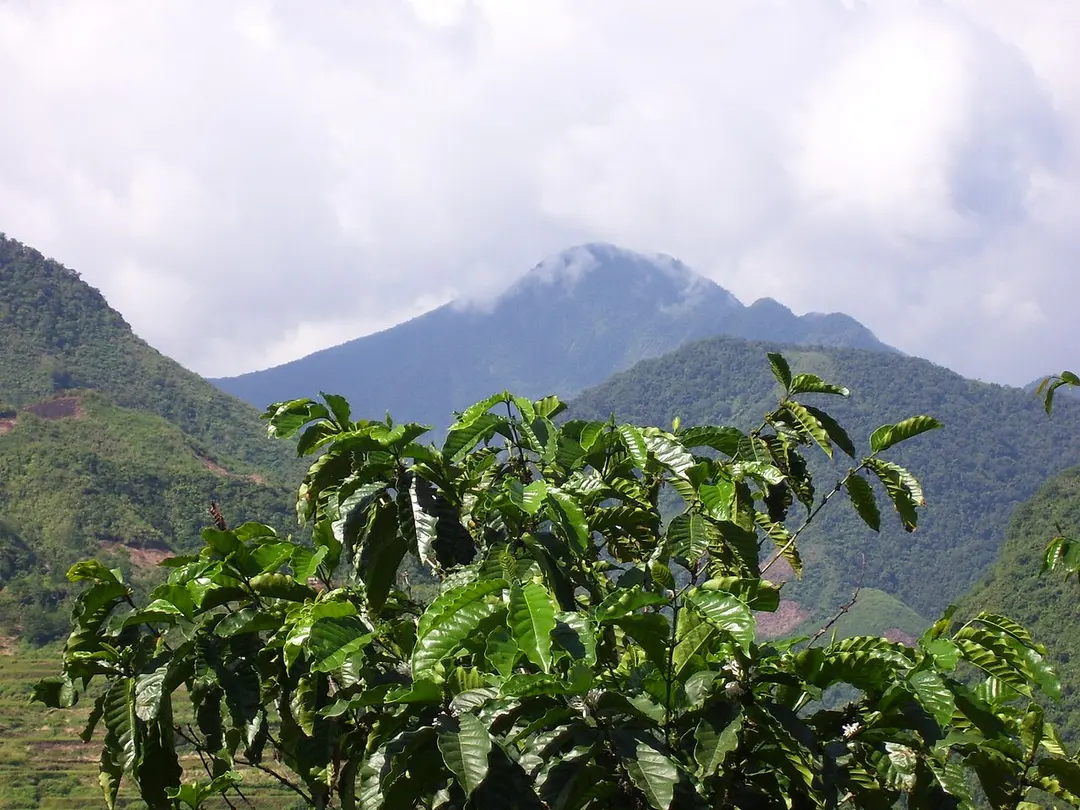Ambalatungan